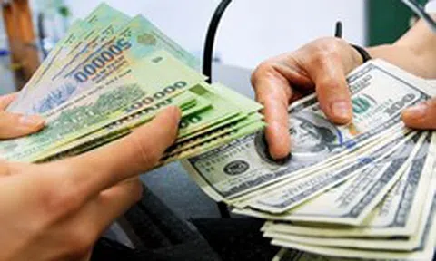 Rút ngắn thời gian xử lý đăng ký giao dịch ngoại tệ với Ngân hàng Nhà nước