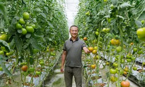 Những mô hình nông nghiệp tiền tỷ được gây dựng từ chính lợi thế quê hương