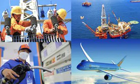 20 doanh nghiệp lớn của Nhà nước kinh doanh ra sao?