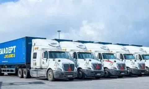 Gemadept phát hành hơn 216 triệu cổ phiếu thưởng cho cổ đông