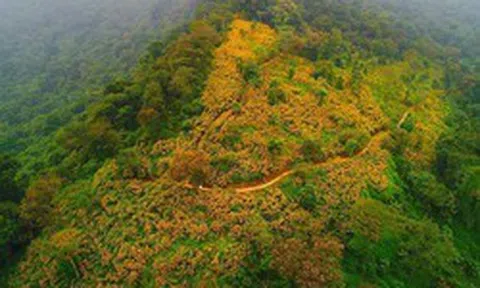 Một “kỳ quan” chưa từng có sắp xuất hiện ở Hà Nội: Rộng 580ha, được đầu tư 10.000 tỷ đồng
