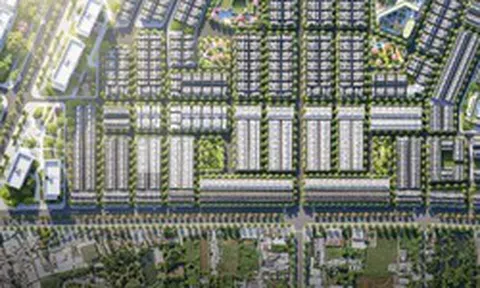 Khu nhà ở thấp tầng số 8 Đông Tăng Long nguồn cung chọn lọc phía Đông TP HCM