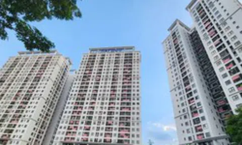 6 năm ‘om’ quỹ bảo trì: Hàng trăm cư dân chung cư Hateco Apollo đòi quyền lợi