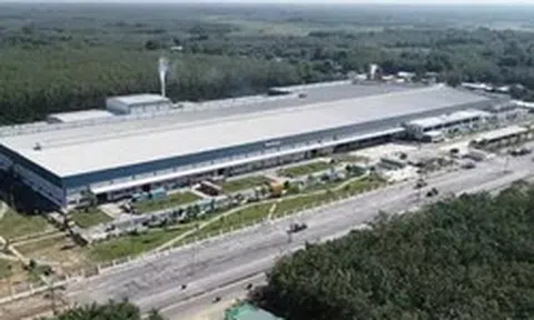 Ngân hàng 'đại hạ giá' nhà máy Tanifood của bà Trương Mỹ Lan