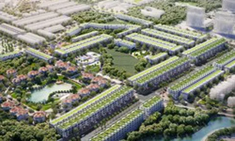 Kosy nói gì về việc cổ phiếu KOS giảm sàn 5 phiên liên tiếp