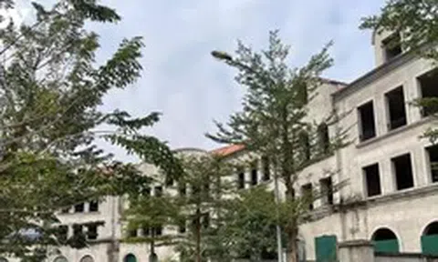Đất trong bao lâu không sử dụng thì bị coi là bỏ hoang?
