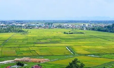 Được bố tặng nhà trên đất ao, con có được giảm 65% tiền sử dụng đất khi làm sổ đỏ?