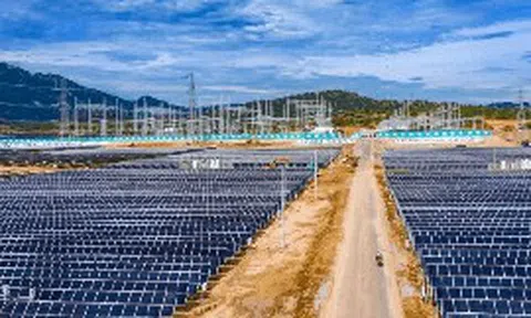 Một hợp đồng mua điện tái tạo có thể kéo dài tới 25 năm: Những bài toán doanh nghiệp phải tính trước khi 'xanh hóa'