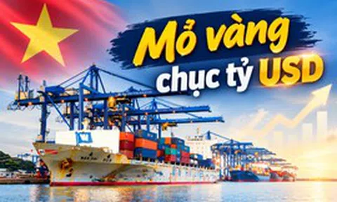 Việt Nam đang sở hữu một ngành hàng ‘gà đẻ trứng vàng': Âm thầm mang về hàng chục tỷ USD mỗi năm, xuất khẩu sang Mỹ, Thái Lan bùng nổ