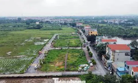 Quy định thế nào là đất bỏ hoang, bị đánh thuế?
