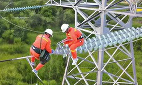 Tổng Công ty Truyền tải điện Quốc gia trước ngã rẽ tách khỏi EVN