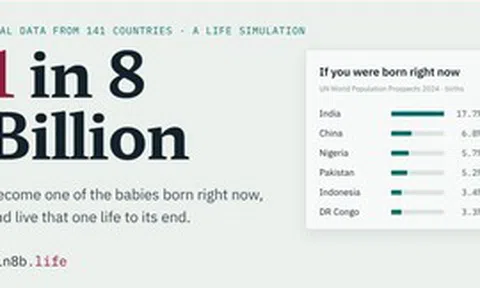 "8 tỷ người, 1 số phận": Trang web lập trình trong 4 tiếng bằng AI đang làm rúng động mạng xã hội châu Á