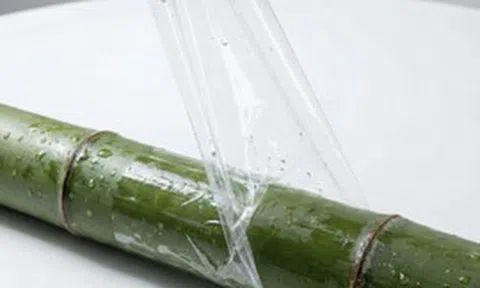 Phát minh của Trung Quốc làm rung chuyển ngành vật liệu: Trộn tre với nhựa, tạo ra loại composite bền hơn 81% và dai hơn 173%, chống được sóng điện từ