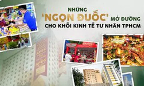 Những 'ngọn đuốc' mở đường cho khối kinh tế tư nhân TPHCM