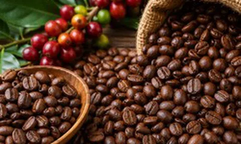 Ngân hàng siết nợ một doanh nghiệp cà phê có tiếng