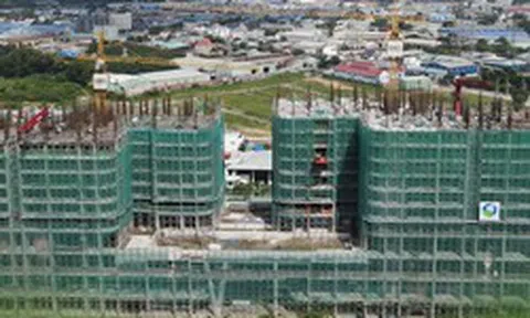 Nhóm cổ đông phía sau Tập đoàn OBC