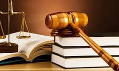 Tăng cường công tác nghiệp vụ phát hiện, điều tra, xử lý nghiêm các hành vi chuyển giá, trốn thuế