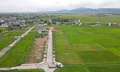 Đấu giá 2 lần không ai mua, 13 lô đất nông thôn dự kiến giảm cả tỷ đồng