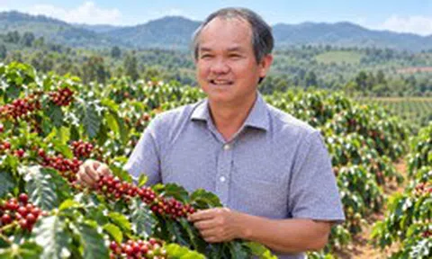 Bầu Đức sau 15 năm 'làm nông': Miệt mài 'đổi cây, đổi con' tìm hướng đi cho HAGL