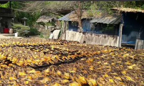 Mặt hàng cả thế giới nuôi nhưng mình Việt Nam tạo ra ngành công nghiệp, mang về hơn 1,7 tỷ đô từ đầu năm