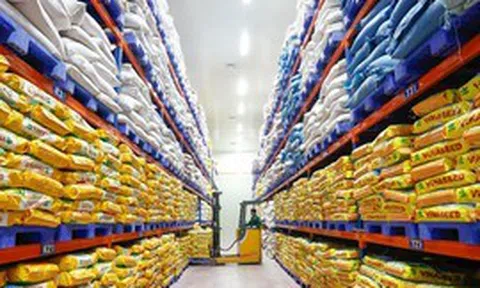 GDP quý III tăng gần 10%, kỳ vọng ba động lực tăng trưởng trong quý IV