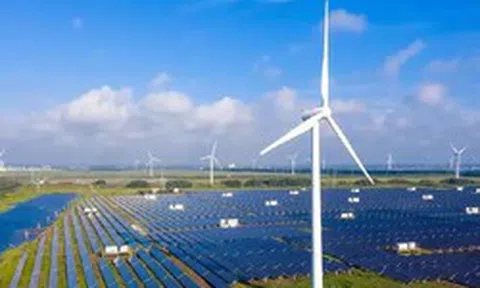 Việt Nam dẫn đầu Đông Nam Á về hút vốn vào năng lượng tái tạo