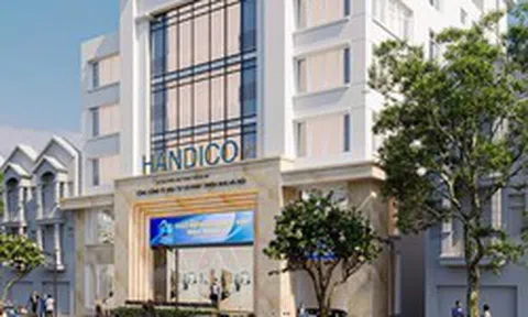 Thanh tra hoạt động liên doanh, góp vốn, thoái vốn tại Handico