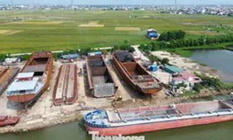 Bí thư Tỉnh ủy Ninh Bình khảo sát các xưởng đóng tàu nằm trong hành lang đê điều