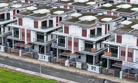 Trình Quốc hội đề xuất đánh thuế đất bỏ hoang cao gấp 7 lần