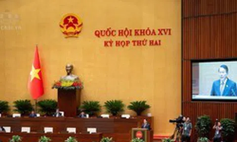 Đề xuất nâng mức xử phạt vi phạm hành chính tối đa lên 1,5 tỷ đồng đối với cá nhân