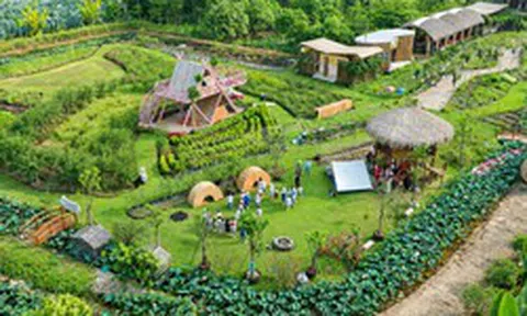 Khi những giá trị bản địa mở lối cho những mô hình du lịch mới
