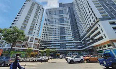 Công ty bất động sản có 25 nhân viên chi gần 670 tỷ đồng đầu tư chứng khoán, tạm lãi hơn 100 tỷ với VHM