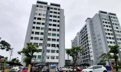 Đề xuất hỗ trợ mua nhà ở đến 800 triệu đồng để thu hút nhân tài