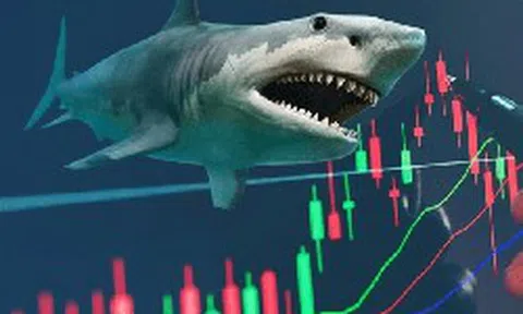 "Cá mập" quy mô hơn 23.000 tỷ vừa bán hàng triệu cổ phiếu chứng khoán, còn nắm gần 8% công ty