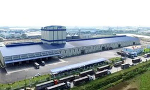 Nông nghiệp Hòa Phát chốt ngày tạm ứng cổ tức năm 2026