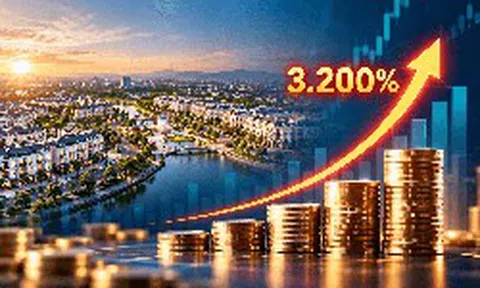 Cú tăng lợi nhuận tới 3.200% của đại gia bất động sản từng thuộc Vinaconex: Điều gì đã xảy ra?