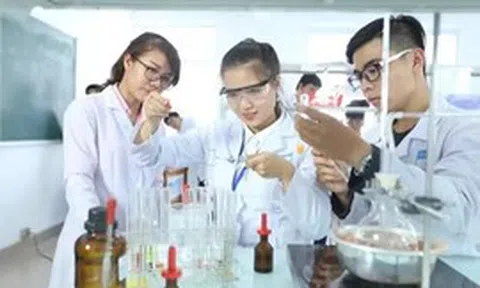 TPHCM chính thức trả lương cho chuyên gia, kỹ sư tài năng từ 106 - 265 triệu đồng/ tháng